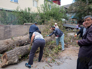 IMG_1817.JPG (5766 просмотров) <a class='original' href='./download/file.php?id=110380&mode=view' target=_blank>Загрузить оригинал (429.56 КБ)</a>