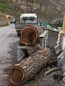 IMG_1854.jpg (5704 просмотра) <a class='original' href='./download/file.php?id=110383&mode=view' target=_blank>Загрузить оригинал (414.77 КБ)</a>