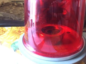 IMG_3712.JPG (3789 просмотров) <a class='original' href='./download/file.php?id=110747&mode=view' target=_blank>Загрузить оригинал (1.03 МБ)</a>