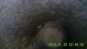 PICT4486[23-16-51].JPG (2463 просмотра) <a class='original' href='./download/file.php?id=11079&mode=view' target=_blank>Загрузить оригинал (83.82 КБ)</a>