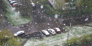 снег.jpg (2920 просмотров) <a class='original' href='./download/file.php?id=110993&mode=view' target=_blank>Загрузить оригинал (372.8 КБ)</a>