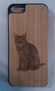 Cat_Apple.jpg (3673 просмотра) <a class='original' href='./download/file.php?id=111354&sid=686e05f8d1dcd6fdae7f460ac6b0e63b&mode=view' target=_blank>Загрузить оригинал (4.53 МБ)</a>