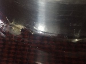 IMG_3808[1].JPG (4167 просмотров) <a class='original' href='./download/file.php?id=113162&mode=view' target=_blank>Загрузить оригинал (601.84 КБ)</a>