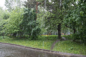 H55R4653.JPG (3521 просмотр) <a class='original' href='./download/file.php?id=113261&mode=view' target=_blank>Загрузить оригинал (14.2 МБ)</a>