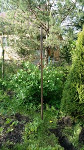 IMG_20170614_183005824.jpg (2540 просмотров) <a class='original' href='./download/file.php?id=113928&mode=view' target=_blank>Загрузить оригинал (10.49 МБ)</a>