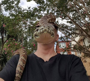 1489126096-019.jpg (3296 просмотров) <a class='original' href='./download/file.php?id=114754&mode=view' target=_blank>Загрузить оригинал (248.34 КБ)</a>