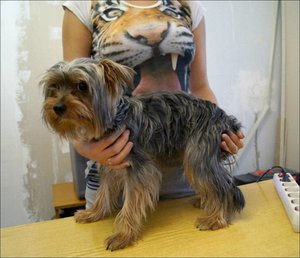 r4tr4t4r-n0010.jpg (3296 просмотров) <a class='original' href='./download/file.php?id=114766&mode=view' target=_blank>Загрузить оригинал (122.01 КБ)</a>