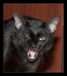 varia.jpg (8002 просмотра) <a class='original' href='./download/file.php?id=115548&mode=view' target=_blank>Загрузить оригинал (92.2 КБ)</a>