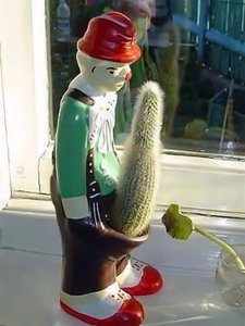 20068324_1971476379750184_1858747338_n.jpg (3902 просмотра) <a class='original' href='./download/file.php?id=116070&mode=view' target=_blank>Загрузить оригинал (39.05 КБ)</a>