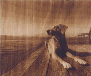 post-442782-1484740221_thumb.jpg (6131 просмотр) <a class='original' href='./download/file.php?id=116089&mode=view' target=_blank>Загрузить оригинал (32.42 КБ)</a>