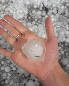 FB_IMG_1500184736725.jpg (15368 просмотров) <a class='original' href='./download/file.php?id=116124&mode=view' target=_blank>Загрузить оригинал (81.05 КБ)</a>