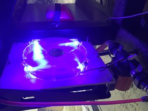 IMG_1197.JPG (2686 просмотров) <a class='original' href='./download/file.php?id=116908&mode=view' target=_blank>Загрузить оригинал (1.61 МБ)</a>