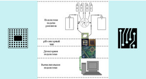 секвен.jpg (4133 просмотра) <a class='original' href='./download/file.php?id=117245&mode=view' target=_blank>Загрузить оригинал (200.41 КБ)</a>