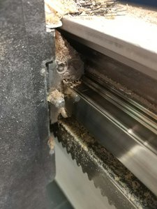 IMG_20170804_165659-2250x3000.jpg (2678 просмотров) <a class='original' href='./download/file.php?id=117493&mode=view' target=_blank>Загрузить оригинал (1.06 МБ)</a>