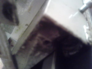 2013-02-10 19.44.45.jpg (3177 просмотров) <a class='original' href='./download/file.php?id=11803&mode=view' target=_blank>Загрузить оригинал (1.02 МБ)</a>