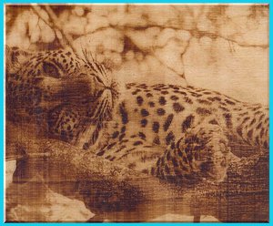 гепард1.jpg (6376 просмотров) <a class='original' href='./download/file.php?id=118129&mode=view' target=_blank>Загрузить оригинал (168 КБ)</a>