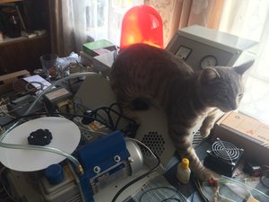 IMG_4290.JPG (6106 просмотров) <a class='original' href='./download/file.php?id=118256&mode=view' target=_blank>Загрузить оригинал (1.62 МБ)</a>