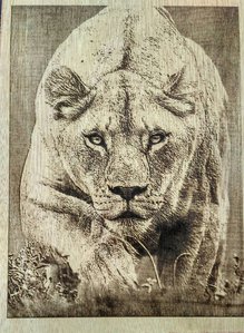 IMG_20170820_131631.jpg (4828 просмотров) <a class='original' href='./download/file.php?id=118605&mode=view' target=_blank>Загрузить оригинал (3.44 МБ)</a>