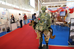 PS8A5150.JPG (18389 просмотров) <a class='original' href='./download/file.php?id=119181&mode=view' target=_blank>Загрузить оригинал (8.02 МБ)</a>