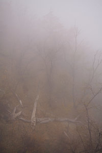 IMG_6189.jpg (6932 просмотра) <a class='original' href='./download/file.php?id=119726&mode=view' target=_blank>Загрузить оригинал (351.57 КБ)</a>