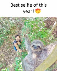 21463018_1774393919255879_7145654869406603923_n.jpg (4565 просмотров) <a class='original' href='./download/file.php?id=120114&mode=view' target=_blank>Загрузить оригинал (126.62 КБ)</a>