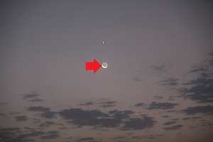 PS8A8340 — копия.JPG (6757 просмотров) <a class='original' href='./download/file.php?id=120503&mode=view' target=_blank>Загрузить оригинал (5.18 МБ)</a>