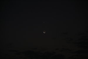 PS8A8343.JPG (6757 просмотров) <a class='original' href='./download/file.php?id=120504&mode=view' target=_blank>Загрузить оригинал (4.87 МБ)</a>