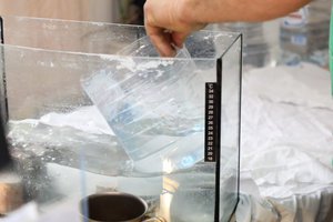 PS8A7947.JPG (10132 просмотра) <a class='original' href='./download/file.php?id=120842&mode=view' target=_blank>Загрузить оригинал (5.79 МБ)</a>