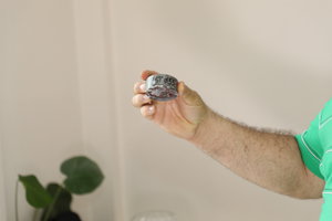 PS8A7966.JPG (10132 просмотра) <a class='original' href='./download/file.php?id=120844&mode=view' target=_blank>Загрузить оригинал (5.23 МБ)</a>