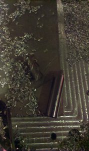 IMAG0058.jpg (5621 просмотр) <a class='original' href='./download/file.php?id=121096&mode=view' target=_blank>Загрузить оригинал (404.46 КБ)</a>