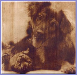 post-442782-1484620368_thumb.jpg (4338 просмотров) <a class='original' href='./download/file.php?id=122104&mode=view' target=_blank>Загрузить оригинал (36.13 КБ)</a>