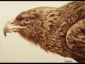 123456.jpg (2817 просмотров) <a class='original' href='./download/file.php?id=122149&mode=view' target=_blank>Загрузить оригинал (39.79 КБ)</a>