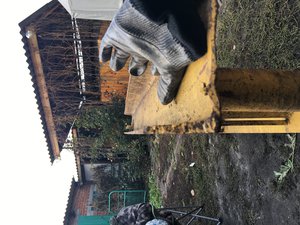 IMG_8952-02-11-17-04-39.JPG (2032 просмотра) <a class='original' href='./download/file.php?id=123640&mode=view' target=_blank>Загрузить оригинал (3.54 МБ)</a>