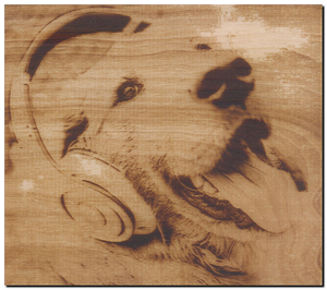 собака.png (3729 просмотров) <a class='original' href='./download/file.php?id=124117&mode=view' target=_blank>Загрузить оригинал (6.07 МБ)</a>