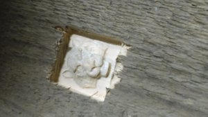 DSC_0113.JPG (4256 просмотров) <a class='original' href='./download/file.php?id=124672&mode=view' target=_blank>Загрузить оригинал (867.38 КБ)</a>