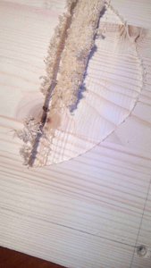 Испорченная заготовка (2805 просмотров) <a class='original' href='./download/file.php?id=125191&sid=7a9bd658c14d10fa3a2bafcfe7626e09&mode=view' target=_blank>Загрузить оригинал (184.09 КБ)</a>