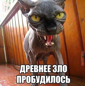 1foen517xk.jpg (1845 просмотров) <a class='original' href='./download/file.php?id=125616&mode=view' target=_blank>Загрузить оригинал (84.23 КБ)</a>