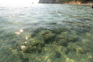 PS8A0308.JPG (6408 просмотров) <a class='original' href='./download/file.php?id=125906&mode=view' target=_blank>Загрузить оригинал (8.56 МБ)</a>