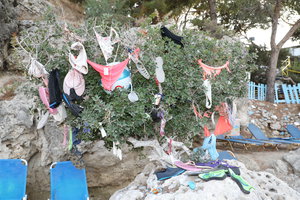 PS8A9723.JPG (11.94 МБ) 6676 просмотров Бюро находок по Гречески (6676 просмотров) <a class='original' href='./download/file.php?id=125916&sid=049daa3f6bfd9acd3bd00cc451573122&mode=view' target=_blank>Загрузить оригинал (11.94 МБ)</a>