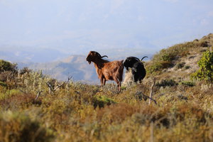 PS8A2130.JPG (6408 просмотров) <a class='original' href='./download/file.php?id=125927&mode=view' target=_blank>Загрузить оригинал (8.2 МБ)</a>