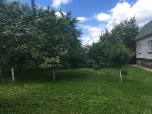 IMG_0629.jpg (4769 просмотров) <a class='original' href='./download/file.php?id=126418&mode=view' target=_blank>Загрузить оригинал (930.68 КБ)</a>