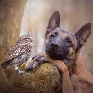 DQLqT2rX4AA4oXq.jpg (4416 просмотров) <a class='original' href='./download/file.php?id=126430&mode=view' target=_blank>Загрузить оригинал (73.24 КБ)</a>