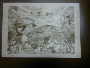 2017-12-10-564.jpg (2978 просмотров) <a class='original' href='./download/file.php?id=126589&mode=view' target=_blank>Загрузить оригинал (1.84 МБ)</a>