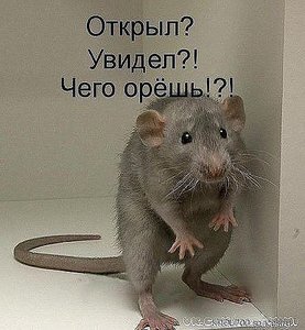 image.jpg (4261 просмотр) <a class='original' href='./download/file.php?id=126617&mode=view' target=_blank>Загрузить оригинал (51.35 КБ)</a>