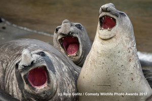 ооо.jpg (3614 просмотров) <a class='original' href='./download/file.php?id=127135&mode=view' target=_blank>Загрузить оригинал (376.02 КБ)</a>