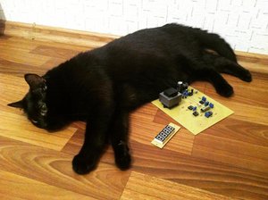 qHmYoDhWCrE.jpg (3620 просмотров) <a class='original' href='./download/file.php?id=127155&mode=view' target=_blank>Загрузить оригинал (87.78 КБ)</a>