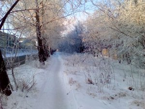 IMG_20171220_104313.jpg (6198 просмотров) <a class='original' href='./download/file.php?id=127296&mode=view' target=_blank>Загрузить оригинал (726.01 КБ)</a>