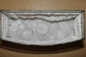 PS8A4893.JPG (9617 просмотров) <a class='original' href='./download/file.php?id=128024&mode=view' target=_blank>Загрузить оригинал (7.54 МБ)</a>