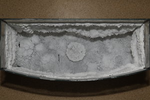 PS8A4895.JPG (9617 просмотров) <a class='original' href='./download/file.php?id=128025&mode=view' target=_blank>Загрузить оригинал (8.78 МБ)</a>