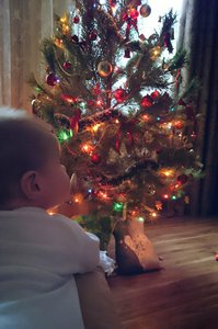 2017-12-20_11.08.58.jpg (4019 просмотров) <a class='original' href='./download/file.php?id=128085&mode=view' target=_blank>Загрузить оригинал (2.47 МБ)</a>